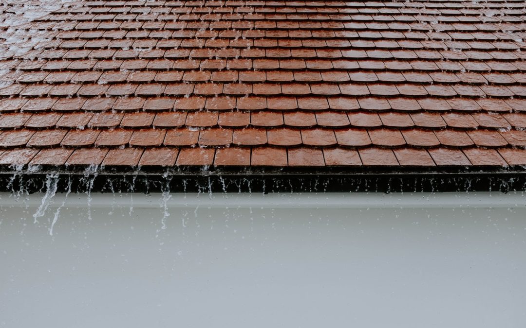 Rooftops: When Should I Replace My Roof?