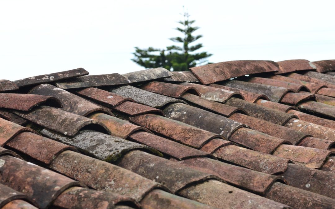 Reasons To Go With A Local Roofing Company
