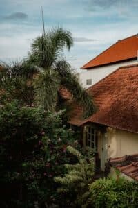How To Remove Mold From Your Roof: Easy To Follow Guide