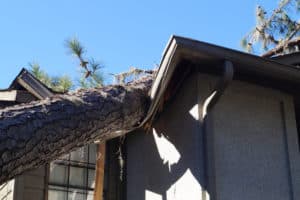 Roof Damage by Tree