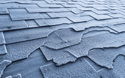 A Comprehensive Guide to Comparing Roofing Materials for Humidity
